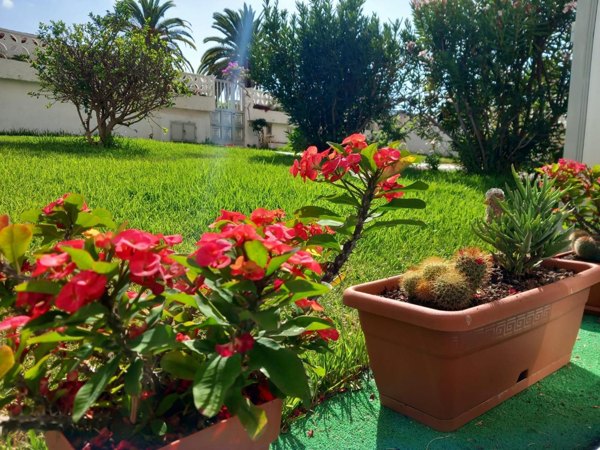 Apartmán Luminoso Y Tranquilo Estudio Zona Botanico Puerto de la Cruz  Exteriér fotografie